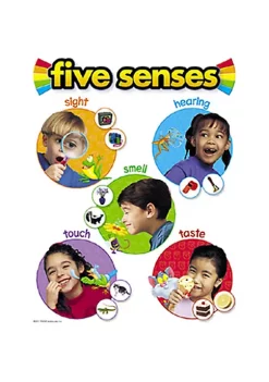 TREND ENTERPRISES INC Inc. T-38051 Chart Five Senses 17 X 22 Gr. Prek-2