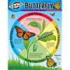 TREND ENTERPRISES INC Inc. T-38151 Chart Life Cycle Of A Butterfly -Nikon store online Belk 1400